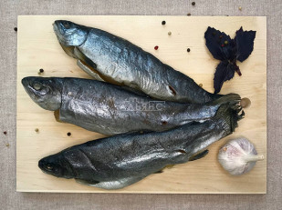 Толстолобик (бабочка) холодного копчения: Форель радужная вяленая